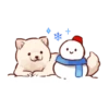 Soft and cute shiba inu 22