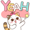 Money Cat 17