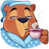 Tood Bear 18