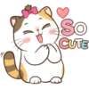 Money Cat 20