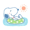 Snoopy 24