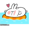 Spoiled rabbit summer 19