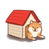Soft and cute shiba inu 30