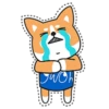 OWOH Dog 16