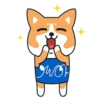 OWOH Dog 17