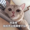 Cats? 11