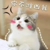 Cats? 14