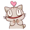 The cat which is lack of sleep 11