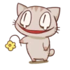 The cat which is lack of sleep 12