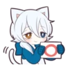 WHITE KITTEN 13