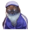 Weird cats 6