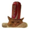 Weird cats 7