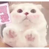 Cats? 16