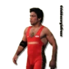 wrestling 16