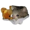 Weird cats 9