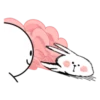 spoiled rabbit 15