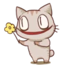 The cat which is lack of sleep 16