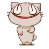 The cat which is lack of sleep 17