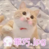 Cats? 17