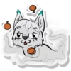 Wander's Face Pack 21