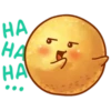 Tahu Bulat 15