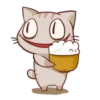 The cat which is lack of sleep 22