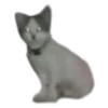 Weird cats 18