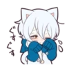 WHITE KITTEN 22