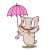 The cat which is lack of sleep 26