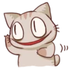 The cat which is lack of sleep 27