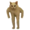 Weird cats 20
