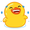 Utya Duck 13
