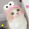 Cats? 25