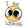 I AM
LOOKING