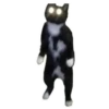 Weird cats 22