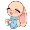 Rabbit 17