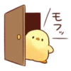 Soft and Cute Chick 11