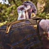 Thanos 17