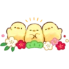 Soft and Cute Chicks 10