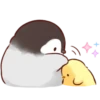 Soft and Cute Chick 13