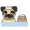 Worthless Potato 14