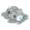 Teddy bear 5