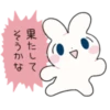 Usayoshi of Rabbit 14