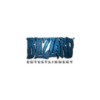 BIZZARD
ENTERTAINMENT