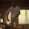 Breaking Bad Season 20