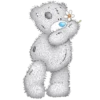 Teddy bear 6