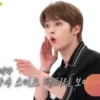 WeeklyIdol 19
