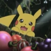 Pikachu 19