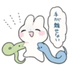Usayoshi of Rabbit 29