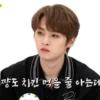 WeeklyIdol 26